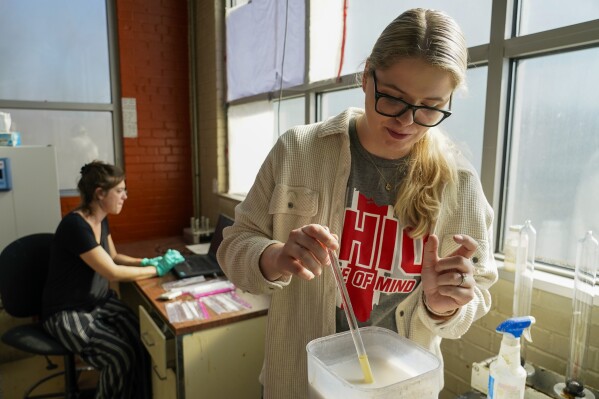 Ashley Herkins, right, prepares a part for a trachea tube made from guayule latex as Sarah Davis, left, a lab technician, works, Tuesday, Feb. 6, 2024, in Wooster, Ohio. Many companies tout the promise of alternative crops such as dandelions or guayule to fight climate change. (AP Photo/Joshua A. Bickel)