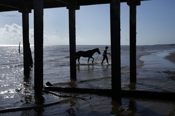 FILE - A man leads his horse on the banks of the river during the Amazon Surf Festival held in the Canal do Perigoso, or "Dangerous Channel," at the mouth of the Amazon River near Chaves, Marajo Island archipelago, Para state, Brazil, June 5, 2023. The two-day Amazon Summit opens Tuesday, Aug. 8, 2023, in Belem, where Brazil hosts policymakers and others to discuss how to tackle the immense challenges of protecting the Amazon and stemming the worst of climate change. (AP Photo/Eraldo Peres, File)