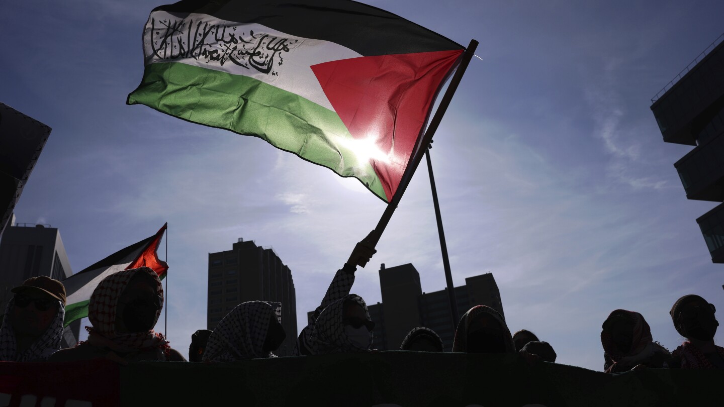Takeaways about groups working to identify and report foreign student protesters