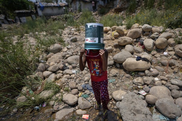 A girl covers her head with a repurposed engine oil container to shield herself from the sun as she walks to collect water from a leaking municipal pipe on a hot summer day on the outskirts of Jammu, India, Friday, May 31, 2024. Officials say a scorching heat wave has killed at least 14 people, including 10 election officials, in eastern India with temperatures soaring up to 49.9 degrees Celsius (122 degrees Fahrenheit) in parts of India this week. (AP Photo/Channi Anand)
