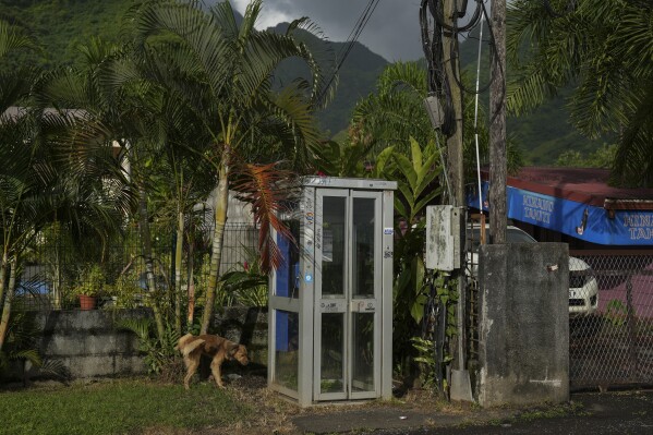 A telephone booth sits at the end of the road in Teahupo'o, Tahiti, French Polynesia, Monday, Jan. 15, 2024. (AP Photo/Daniel Cole)