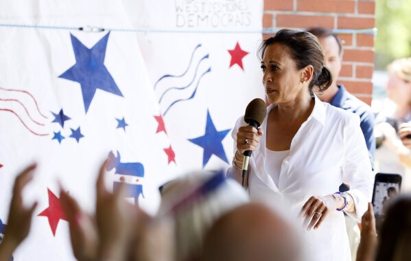 Democratic presidential candidate Sen. Kamala Harris speaks during the West Des Moines Democrats' annual picnic, Wednesday, July 3, 2019, in West Des Moines, Iowa. (AP Photo/Charlie Neibergall)