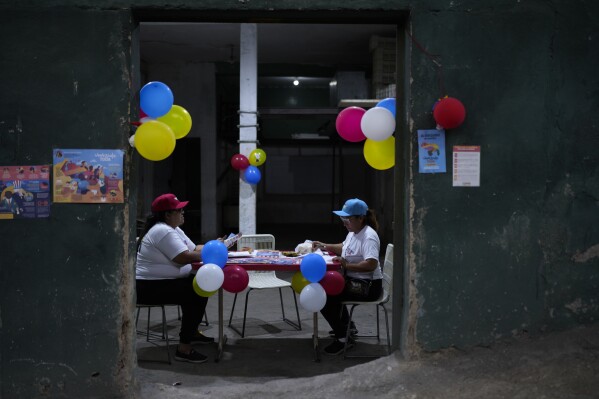 Ruling party grassroots organizers known as 