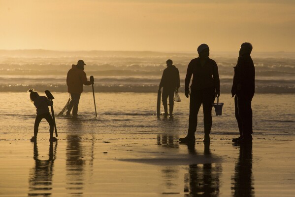 FILE - Visitors look for clams to dig along the beach at Fort Stevens State Park, Feb. 9, 2016, in Warrenton, Ore. Oregon has expanded shellfish harvesting closures along the state's entire coastline to include razor clams and bay clams. The move comes after state officials closed the coast to mussel harvesting last week. (Joshua Bessex/The Astorian via AP, File)