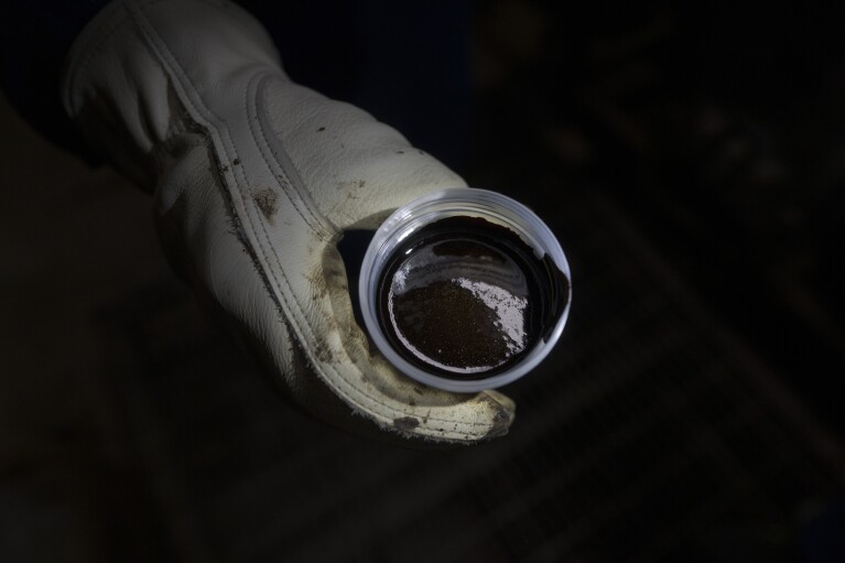 A worker shows a cup of oil extracted from hundreds of meters underground with the steam-assisted gravity drainage system at Cenovus' Sunrise oil facility northeast of Fort McMurray on Thursday, Aug. 31, 2023. (AP Photo/Victor R. Caivano)