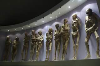 FILE - Mummies are displayed in the Mummy Museum in Guanajuato, Mexico, Saturday, Nov. 1, 2008. In Mexico, the federal archaeology agency accused the conservative government of Guanajuato state on Monday, May 27, 2024, of mistreating one of the country’s famous mummified 19th century bodies. (AP Photo/Daniel Jayo, File)