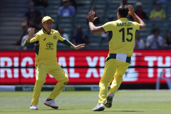 Australia's Xavier Bartlett, right, celebrates with teammate Marnus Labuschagne after taking the wicket of West Indies' Justin Greaves during their one day international cricket match in Melbourne, Australia, Friday, Feb. 2, 2024. (AP Photo/Asanka Brendon Ratnayake)