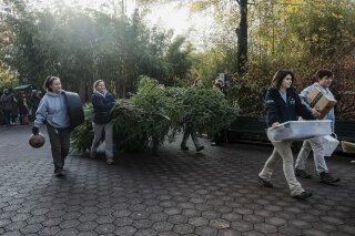 Smithsonian National Zoo employees carry bamboo to a FedEx transport truck as giant panda Bei Bei departs the Smithsonian National Zoological Park Tuesday, Nov. 19, 2019, in Washington. (AP Photo/Michael A. McCoy)