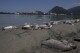 文件-2015年8月29日，巴西里约热内卢奥林匹克公园前的贾卡雷帕瓜环礁湖岸边，鱼的尸体被覆盖。2016年奥运会八年后，一家私人特许公司正在努力恢复里约西部地区的水生生态系统。（美联社照片/Silvia Izquierdo，档案）