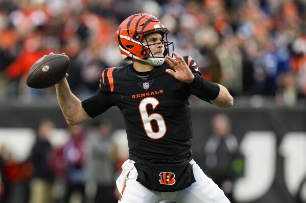 nfl cincinnati bengals