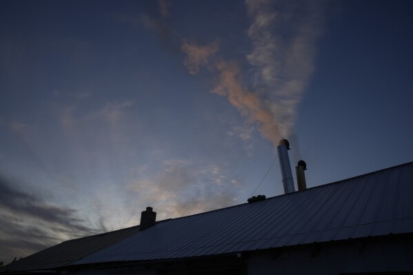 Steam bellows out of a chimney at Jeremy Solin's sugar shack, Sunday, Feb. 25, 2024, in Deerbrook, Wis. (AP Photo/Joshua A. Bickel)