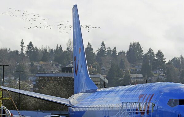 
              A flock of birds flies past a Boeing 737 MAX 8 airplane being built for TUI Group at Boeing Co.'s Renton Assembly Plant Wednesday, March 13, 2019, in Renton, Wash. President Donald Trump says the U.S. is issuing an emergency order grounding all Boeing 737 Max 8 and Max 9 aircraft in the wake of a crash of an Ethiopian Airliner. (AP Photo/Ted S. Warren)
            