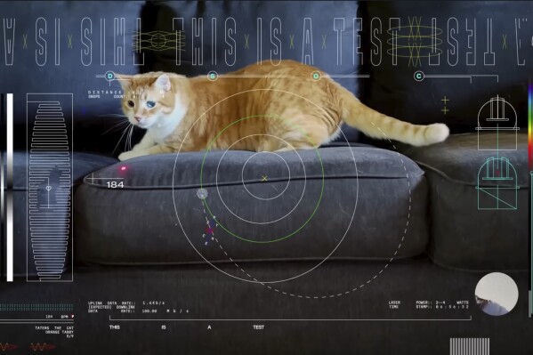 This image shows a frame from a 15-second ultra-high-definition video featuring a cat named Taters which was streamed via laser from deep space by NASA on Dec. 11, 2023. It was part of the technology demonstration known as Deep Space Optical Communications (DSOC), which is attached to the Psyche spacecraft traveling to the asteroid belt between Mars and Jupiter. The video was loaded into Psyche's laser experiment long before the spacecraft blasted off to a metal-rich asteroid in October. (NASA via AP)