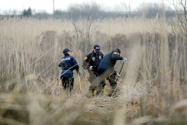 FILE - Crime scene investigators use metal detectors to search a marsh for the remains of Shannan Gilbert, Dec. 12, 2011 in Oak Beach, New York. A Long Island architect has been charged, Friday, July 14, 2023, with murder in the deaths of three of the 11 victims in a long-unsolved string of killings known as the Gilgo Beach murders. (James Carbone/Newsday via AP, Pool, File)