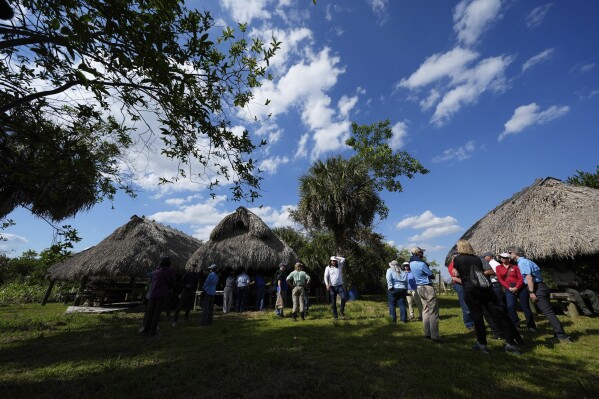 Members of a task force that brings together federal, state, tribal and local agencies working to restore and protect the Florida Everglades stand beside chickees, thatched-roof, open-sided platform huts used traditionally for cooking, sleeping, and gathering, on Big Hammock, one of the largest tree islands within the Miccosukee Indian Reservation in the Florida Everglades, Wednesday, April 24, 2024. (AP Photo/Rebecca Blackwell)