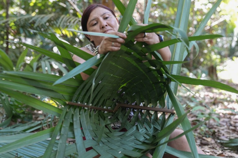 Mandei Juma weaves a basket from palm leaves in the Juma Indigenous community near Canutama, Amazonas state, Brazil, Sunday, July 9, 2023. Along with two sisters, Mandei leads and manages the Indigenous territory after the death of their father in 2021. (AP Photo/Andre Penner)