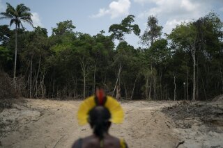 FILE - In this Aug. 31, 2019 file photo, Krimej indigenous Chief Kadjyre Kayapo, of the Kayapo indigenous community, looks out at a path created by loggers on the border between the Biological Reserve Serra do Cachimbo, front, and Menkragnotire indigenous lands, in Altamira, Para state, Brazil. As the coronavirus spreads into indigenous lands, killing at least 40 people so far by the government's count, the first two COVID-19 deaths were registered the last week of May 2020 in the Kayapo indigenous group, which has reported a total of 22 virus cases. (AP Photo/Leo Correa, File)