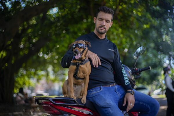 Rescued dog Koffee sits on the motorcycle next to his new caretaker Leandro Valdes during an interview in Havana, Cuba, Friday, Oct. 4, 2024. (AP Photo/Ramon Espinosa)