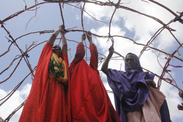 Women build a shelter for people who fled amid a drought at a makeshift camp for displaced people on the outskirts of Mogadishu, Somalia on Tuesday, Sept. 26, 2023. (AP Photo/Farah Abdi Warsameh)