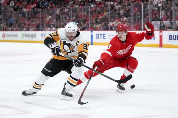 Pittsburgh Penguins star Sidney Crosby shares incredible insight