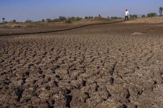 A farmer walks on a lake that has dried up due to drought outside Beed, India, Saturday, May 4, 2024. Voters in India, from the rain-drenched Himalayas in the north to the sweltering, dry south, are looking for politicians who promise relief, stability and resilience to the wide-ranging and damaging effects of a warming climate. (AP Photo/Rafiq Maqbool)