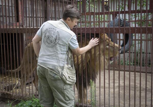 Wild Animals in Zoos - FOUR PAWS International - Animal Welfare Organisation