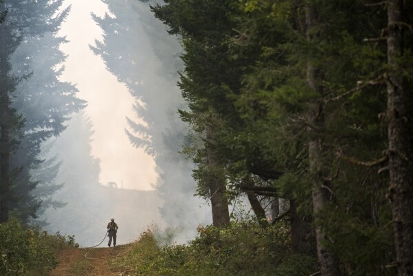 Washington Department of Natural Resources firefighter Chris Werner, of Chehalis, works the south fire line of the Archer Mountain fire in Skamania County, Wash., Sept. 6, 2017. (Alisha Jucevic/The Columbian via AP, File)