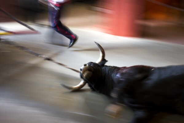 Pamplona bull running: Five wounded on first day of controversial Spanish  festival, The Independent