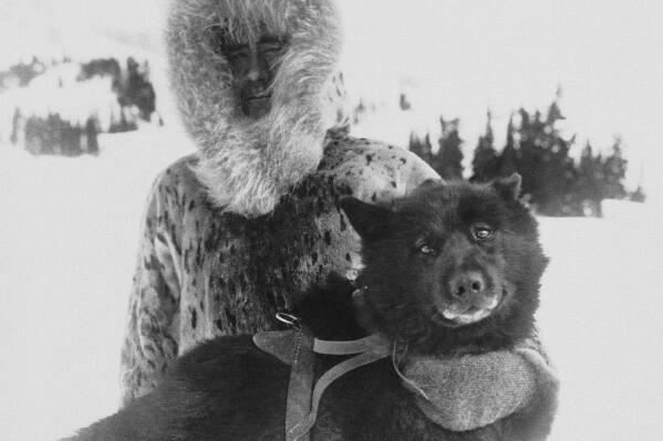 FILE - Gunnar Kaasen and with his dog Balto, the heroic dogsled team leader, sit for a portrait in the early 1920s. As a part of the Zoonomia Project, with 11 papers published Thursday, April 27, 2023, in the journal Science, by comparing Balto’s genes to those of other dogs, researchers found he was more genetically diverse than modern breeds and may have carried genetic variants that helped him survive harsh conditions. The Zoonomia Project is an international effort comparing the genetic blueprints of an array of animals, including this species, and some of the discoveries were shared in 11 papers published Thursday, April 27, 2023, in the journal Science. (AP Photo, File)