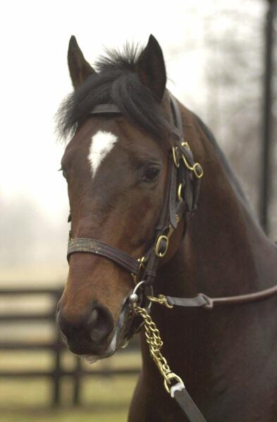 Fusaichi Pegasus, 2000 Kentucky Derby winner, dies at 26