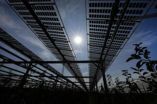 File - Special mounted solar panels are installed over a biological apple fruit tree plantation in Gelsdorf, western Germany, Tuesday, Aug. 30, 2022. A South Korean solar panel maker will invest more than $2.5 billion to build factories in Georgia, hiring 2,500 new employees and making components usually manufactured outside the United States, the company announced Wednesday, Jan. 11, 2023. (AP Photo/Martin Meissner, File)