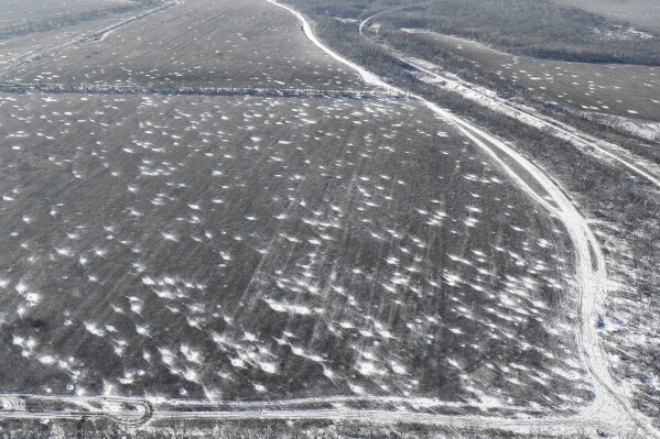 An aerial view of the multiple craters left by shelling in a field on the frontline close to Bakhmut, Donetsk region, Ukraine, Wednesday, Nov. 22, 2023. (AP Photo/Alex Babenko)