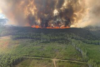 Un incendio forestal arrasa con un bosque de Alberta, Canadá, el viernes 12 de mayo de 2023. (Government of Alberta Fire Service/Canadian Press via AP)