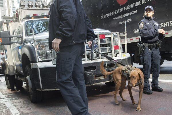 
              Emergency service personnel with a bomb sniffing dog work outside the building that houses New York Governor Andrew Cuomo's office after a report of a suspicious package, Wednesday, Oct. 24, 2018, in New York. The U.S. Secret Service said Wednesday that it intercepted a bomb that was addressed to former Secretary of State Hillary Clinton and also discovered a possible explosive sent to former President Barack Obama.  (AP Photo/Mary Altaffer)
            