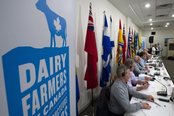 
              FILE - In this Sept. 19, 2018, file photo, members of the Dairy Farmers of Canada hold a news conference in Ottawa, Ontario. American dairy farmers get more access to the Canadian market. U.S. drug companies can fend off generic competition for a few more years. Automakers are under pressure to build more cars where workers earn decent wages. (Adrian Wyld/The Canadian Press via AP, File)
            