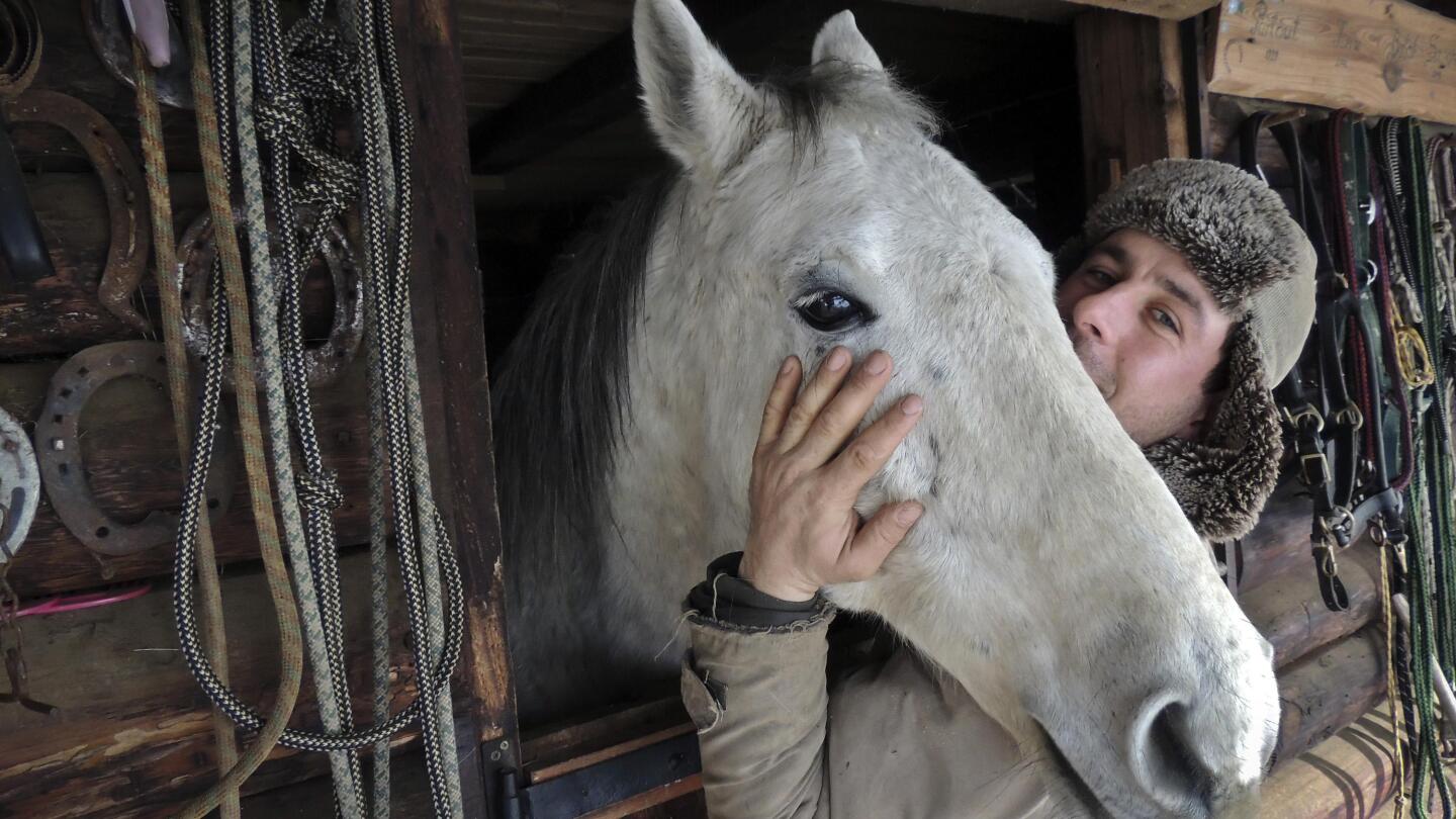 Penyelamat membela kuda Rumania dari pembantaian