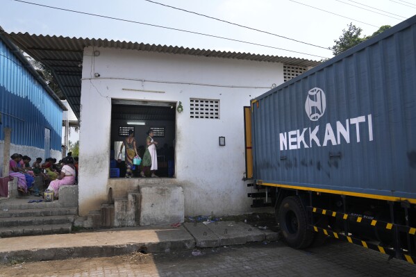 Workers load processed shrimp from their tin-roofed processing shed into a truck bearing the name of the Nekkanti Sea Foods company, at the hamlet of Tallarevu, in Kakinada district, in the Indian state of Andhra Pradesh, Sunday, Feb. 11, 2024. Managers at the small shed said Nekkanti and other major brands often outsource the labor-intensive peeling and deveining work to keep down costs. Nekkanti, however, says all its shrimp is processed in a handful of massive company-owned processing facilities approved by the U.S. Food and Drug Administration. (AP Photo/Mahesh Kumar A.)