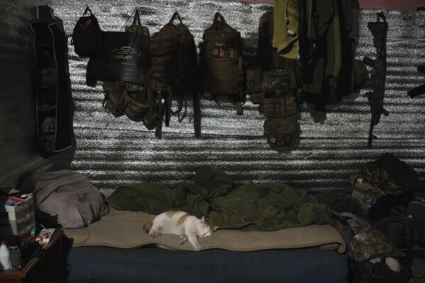 A cat naps on the bed of a Ukrainian serviceman, in the Donetsk region, Ukraine, April 6, 2024. (AP Photo/Alex Babenko)