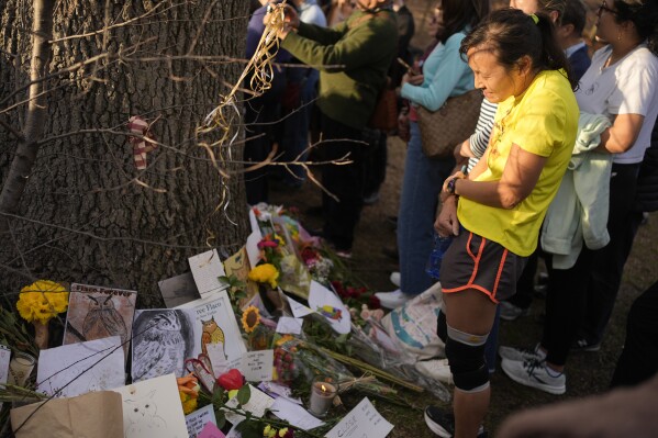 People leave drawings, flowers, poems and other tributes to Flaco the owl at a tree in Central Park in New York, Sunday, March 3, 2024. Mournful fans of Flaco the Eurasian eagle-owl have gathered in New York City to say goodbye to the beloved celebrity creature who became an inspiration and joy to many as he flew around Manhattan after he was let out of his zoo enclosure. (AP Photo/Seth Wenig)