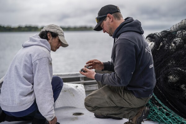 Darren Platt, right, captain of the Agnes Sabine, shows first-year deckhand Juan Zuniga, left, how to remove and check the boat's fuel caps while refueling, Friday, June 23, 2023, in Kodiak, Alaska. Retaining deckhands is key for Platt and he says he focuses on keeping crew members as comfortable as possible so that they might return again to work the following season while teaching them the skills they need to perform their job on the boat. (AP Photo/Joshua A. Bickel)