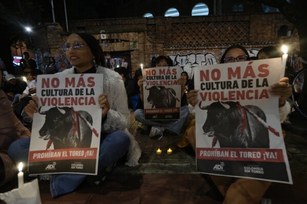 Demonstrators take part in a vigil holding posters with messages that read in Spanish: "No more culture of violence" during a protest against bullfighting, which has been temporarily suspended as Congress debates its legality, in Bogota, Colombia, Friday, May 24, 2024. (AP Photo/Fernando Vergara)