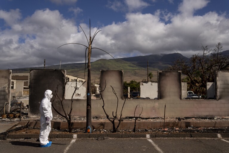 Wildfire Recovery in Paradise Holds Lessons for Lahaina - Bloomberg