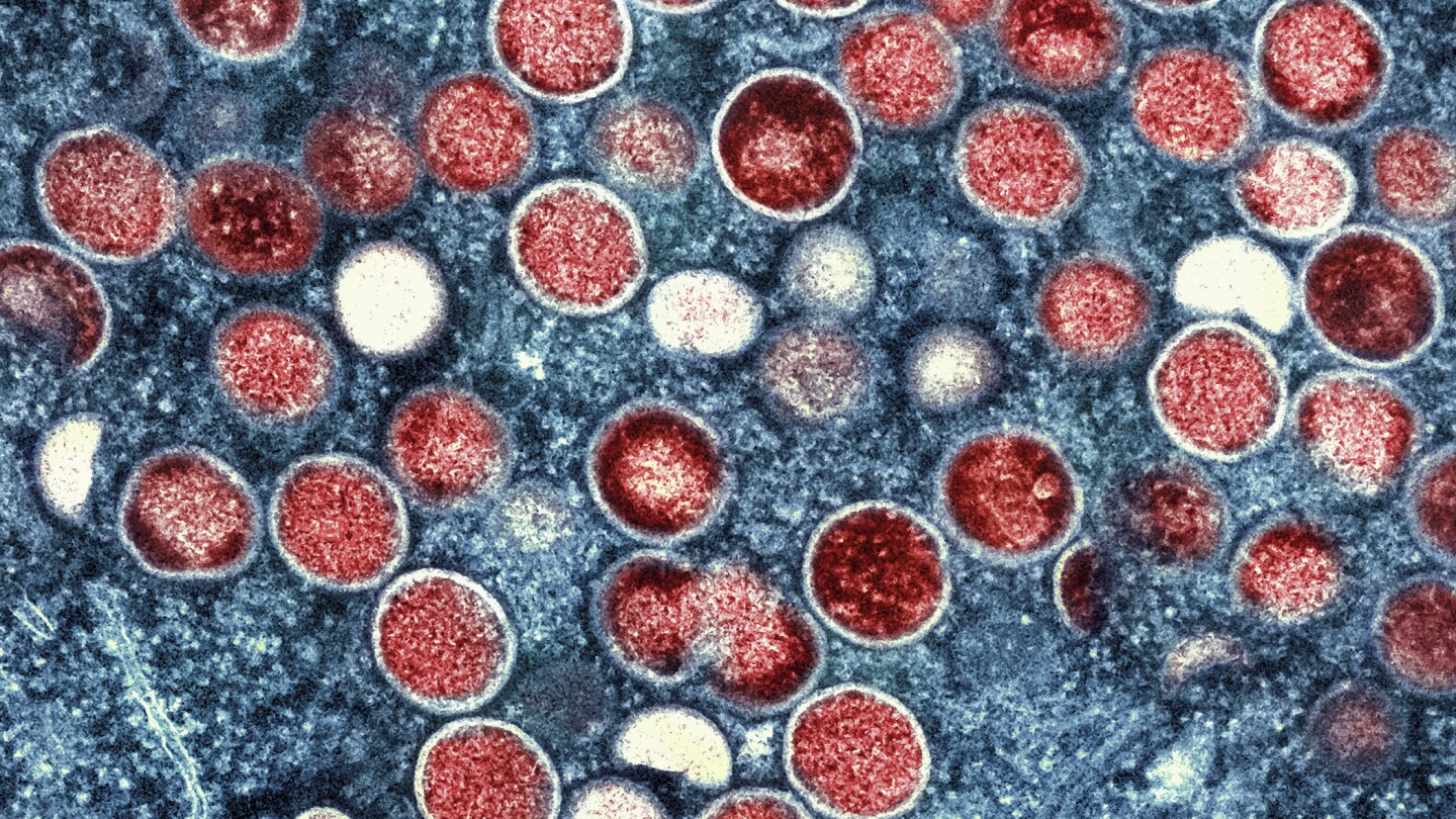 Mpox global health emergency: Will it trigger another pandemic?