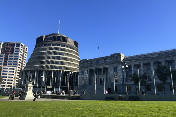 People arrive at Parliament in Wellington, New Zealand, on Wednesday, July 24, 2024, for the tabling of a wide-ranging independent inquiry into the abuse of children and vulnerable adults in care over the span of five decades wrote in a blistering final report. (ĢӰԺ Photo/Charlotte Graham-McLay)