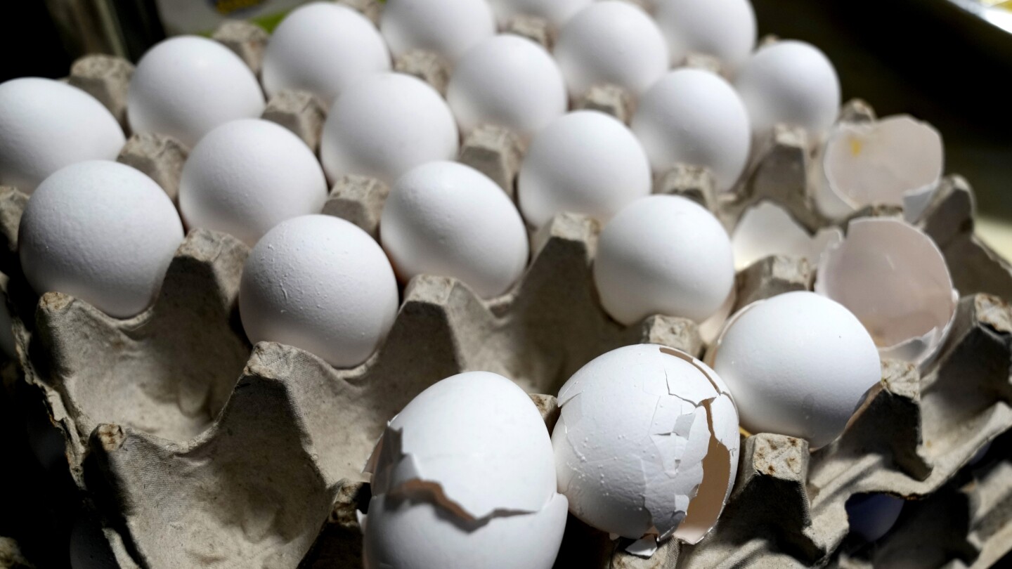Egg costs build up to listing excessive regardless of Trump’s predictions and hen flu outbreak slowing
