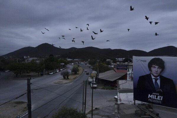 Birds fly over a billboard of presidential hopeful Javier Milei in Salta, Argentina, Wednesday, Oct. 4, 2023. Milei, a right-wing populist who admires Donald Trump and made a name for himself by shouting against Argentina's 鈥減olitical caste鈥� on television, finds himself the front-runner for this month's presidential election. (APPhoto/Javier Corbalan)