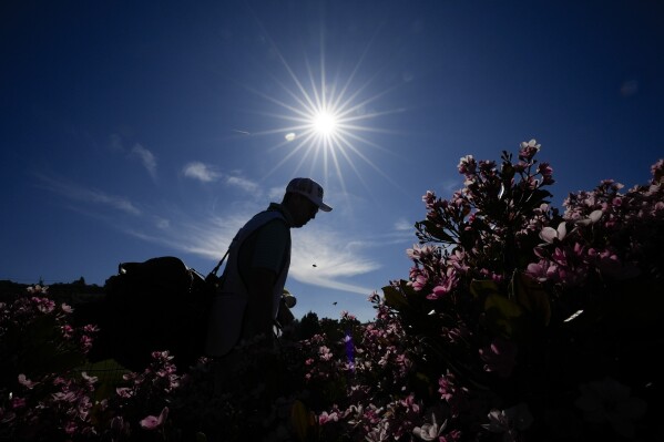 A caddie walks between the 16th and 17th holes during the first round of LPGA's Fir Hills Seri Pak Championship golf tournament in Palos Verdes Estates, Calif., Thursday, March 21, 2024. (AP Photo/Ashley Landis)