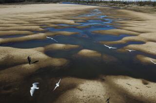 FILE - In this Thursday, July 29, 2021 file photo, birds fly over a man taking photos of the exposed riverbed of the Old Parana River, a tributary of the Parana River during a drought in Rosario, Argentina. Parana River Basin and its related aquifers provide potable water to close to 40 million people in South America, and according to environmentalists the falling water levels of the river are due to climate change, diminishing rainfall, deforestation and the advance of agriculture. (AP Photo/Victor Caivano, File)