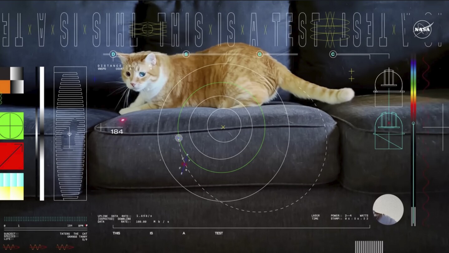 Оранжева котка с шарки на име Татърс открадва шоуто в първото видео, изпратено от лазер от дълбокия космос