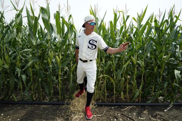 Chisox, Yanks go deep into corn; Field of Dreams hosts more